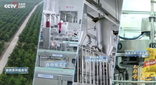 洽洽入選品牌信用建設典型案例，信息技術服務助推民族品牌發展