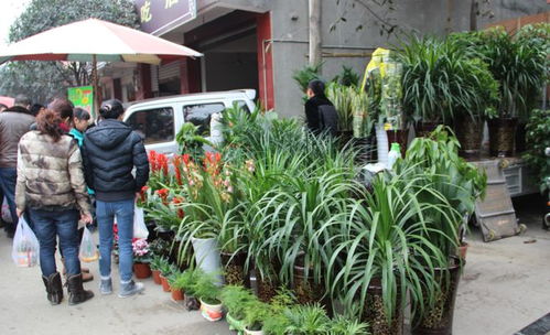 等了五年,周六見